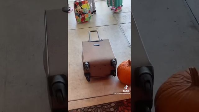 Aquí les dejo un poco de el viaje ? смотреть онлайн