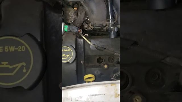 ford escape misfire cylinder # 1,2,3,4,5 o 6. fuga de aceite, resuelto el pedo. смотреть онлайн