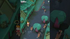 Дикое родео зоопарк 5