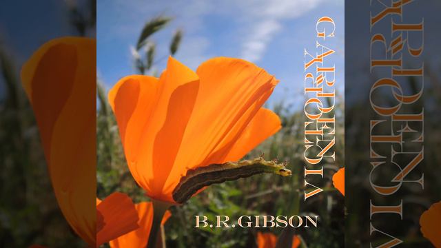 Sunset смотреть онлайн