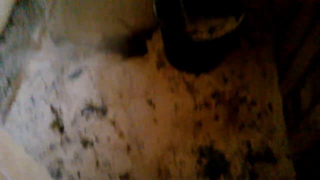 20170930 Коза уборка_'эпизод1_ про постоянное временное смотреть онлайн