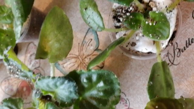 Ошибки в упаковке посылок. Подробный разбор. смотреть онлайн