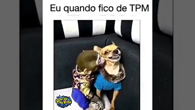 Eu quando tô com raiva 🙅😂😂😂😂😂😂😂😌 смотреть онлайн