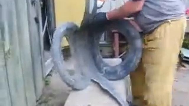 Лебедь flv смотреть онлайн