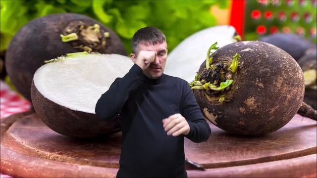 Лечебные свойства черная редька смотреть онлайн