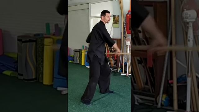 Палка-хлыст. Бяньгань.База1.