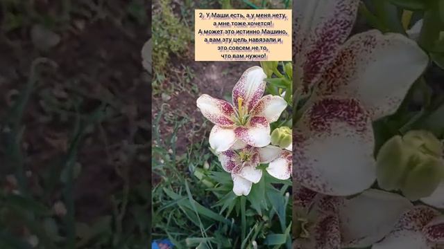 Почему не удается достичь цели? смотреть онлайн