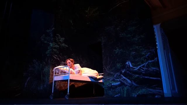 sirene Operntheater 2016: Hospital Trilogie 1 - HYBRIS / Šimon Voseček смотреть онлайн