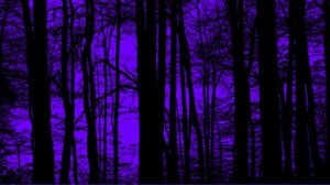 Футаж. Фон для видеомонтажа 461