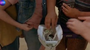 Богатенький Ричи (перевод Андрея Гаврилова) 1994г.