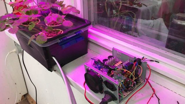 Самый дешевый таймер для автоматики полива клубники. Arduino смотреть онлайн