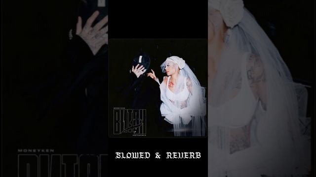 Витон2-INSTASAMKA