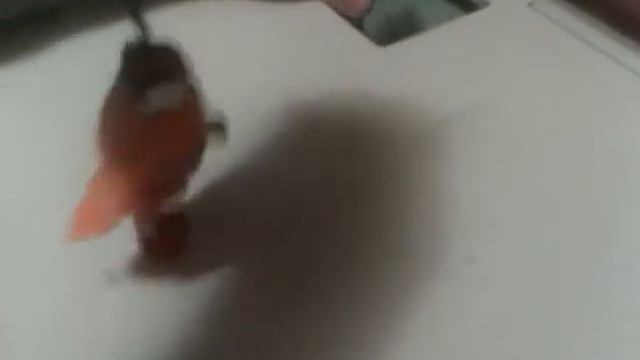 Новая серия Гравити фолз третья , заключительная часть 1 серии \1 сезона