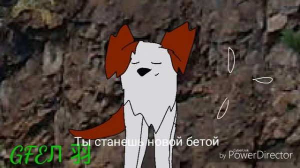 Хроники стаи