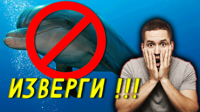 БECЧЕЛОBEЧНЫЙ ПОСТУПОК ⛔️ "Пытаются спасти!" Хозяин просто выкинул их в море Разбирается прокуратура смотреть онлайн