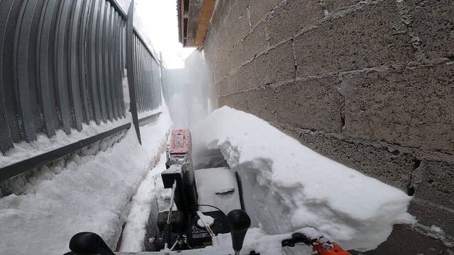 Yanis Blizzard M24DL