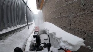 Yanis Blizzard M24DL