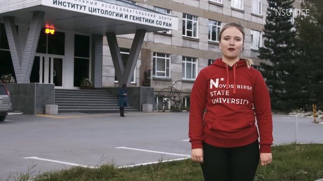 Подсказано НГУ. А смотреть онлайн