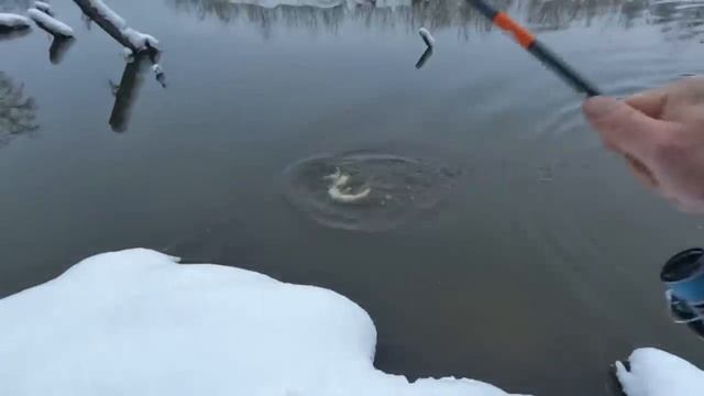 ТАК НЕ БЫВАЕТ ! РАЗДАЧА ПРОДОЛЖАЕТСЯ ! ЛОВЛЯ ЩУКИ НА СПИННИНГ ! РЫБАЛКА ЗИМОЙ НА МАЛОЙ РЕКЕ ! смотреть онлайн