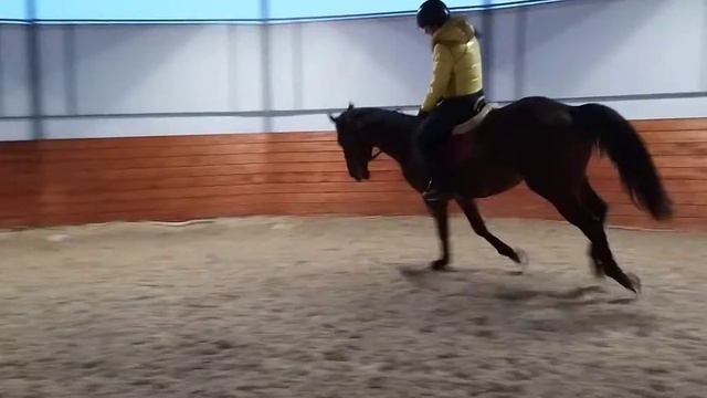 Тренировки с Илханом!!!(3) смотреть онлайн