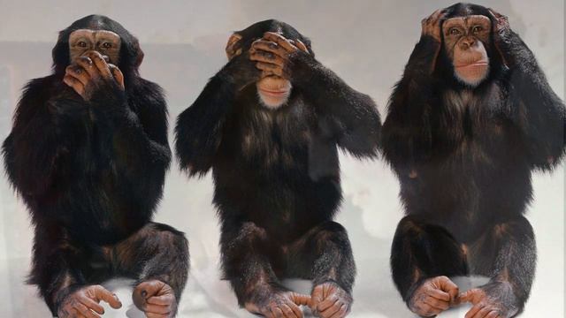 Zen Master Foyan Qingyuan wisdom (1067-1120) смотреть онлайн