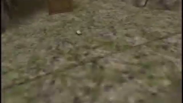 -uR- Digital Paint: Paintball2 Jump Video смотреть онлайн