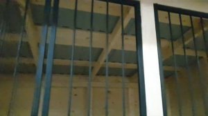 Вольер для собак со сварной металлической решеткой на деревянном каркасе