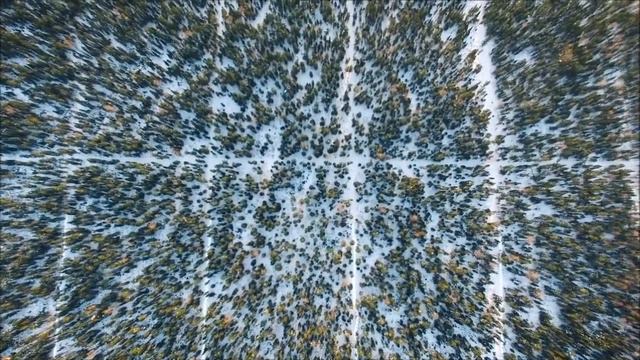 Загадочные линии в тайге или удивительные открытия смотреть онлайн