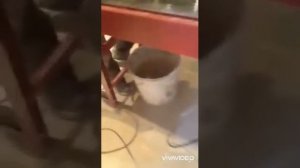 Смелое решение, жидкие обои в санузел!