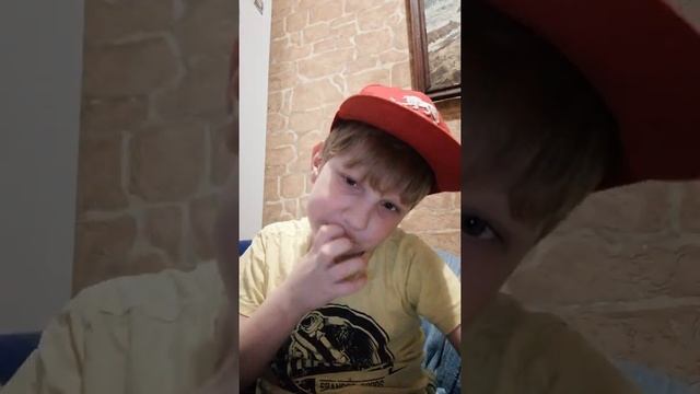 Честер - рыжий британский кот смотреть онлайн