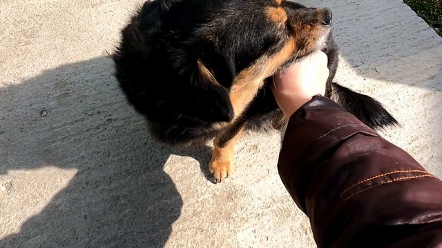 Дом на Юге. Покрасила кладовку. Переделка клумб. смотреть онлайн