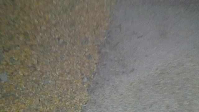 Отходы КУКУРУЗА (СЕЧКА) смотреть онлайн