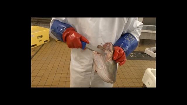 язычок трески смотреть онлайн