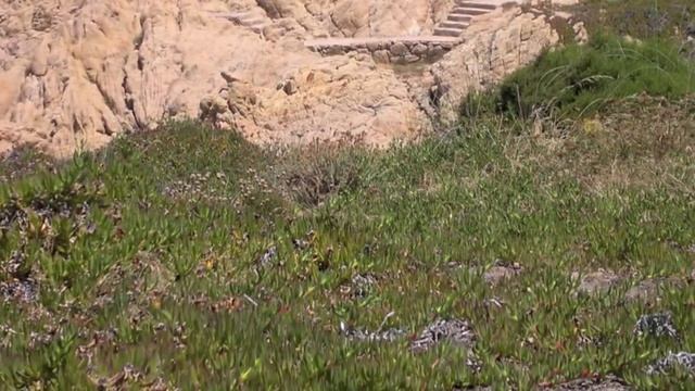 Costa Paradiso Sardegna - Raccolta di immagini e descrizione video смотреть онлайн