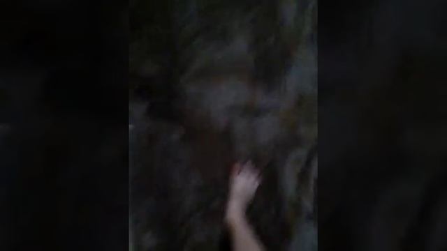 я в абакане