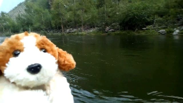 Долина Чулышмана, Siberian Expeditions, идём на водопад Куркуре. смотреть онлайн