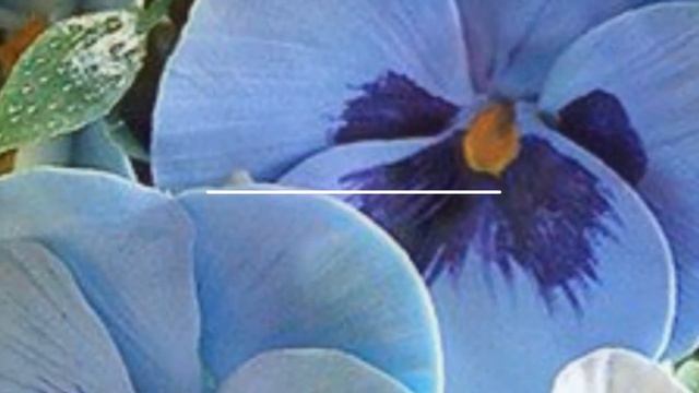 Поздравление с Днем рождения! смотреть онлайн