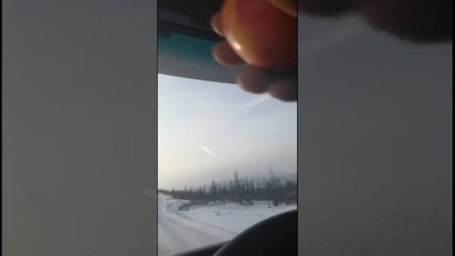 Ворон летит за фурой