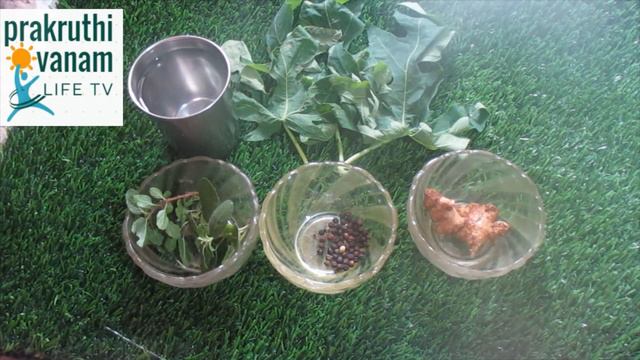 dengue fever: డెంగ్యూ జ్వరం వలన తగ్గిన ప్లేట్లెట్ సంఖ్యను పెంచే మార్గం|increase platelet count смотреть онлайн