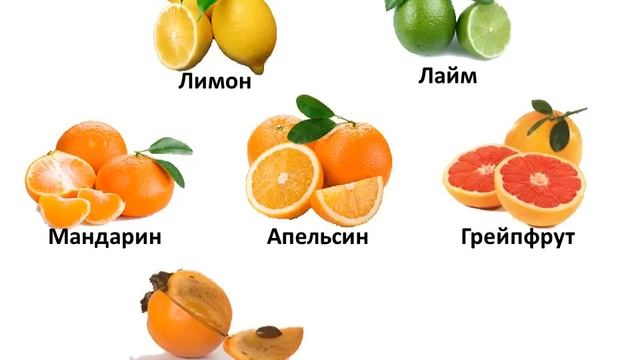 Учим русский язык, Фрукты/Սովորում ենք ռուսերեն, Մրգեր смотреть онлайн