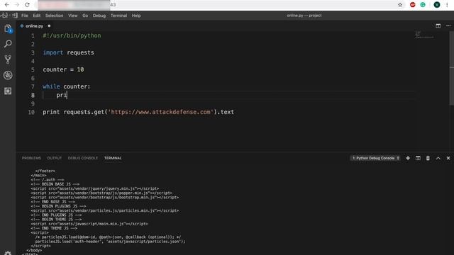 AttackDefense labs: Online IDE and Debugger смотреть онлайн