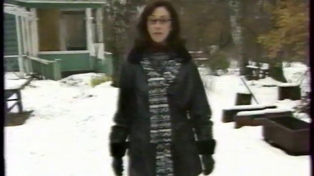 Дачники. Серебряный бор