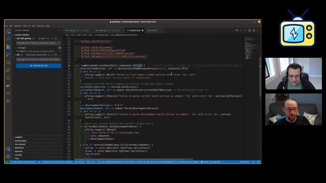 Part 2: Contributing to Ziti for Go Beginners (conclusion) смотреть онлайн