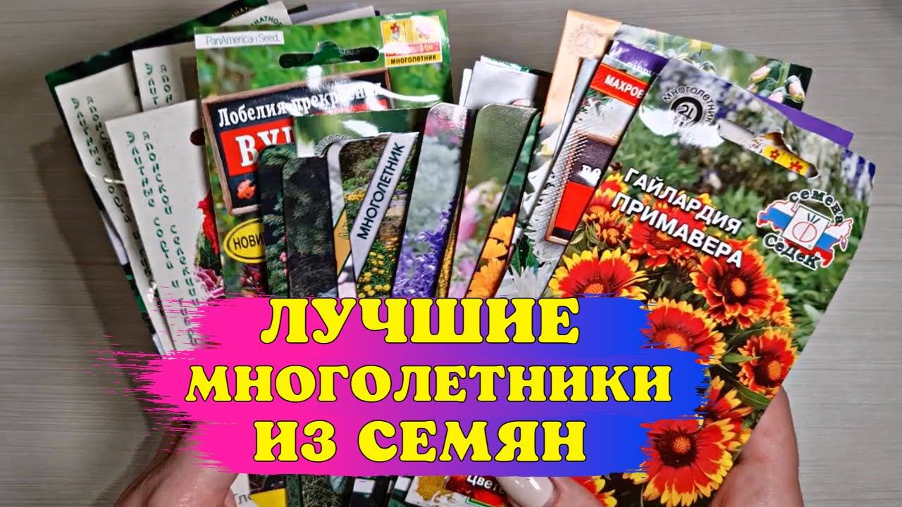 ПРОСТО ПОСЕЙТЕ! ЛУЧШИЕ МНОГОЛЕТНИКИ, которые ЛЕГКО вырастить ИЗ СЕМЯН! смотреть онлайн