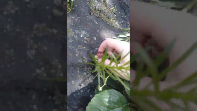 Еду на дачу ждите 2 часть смотреть онлайн
