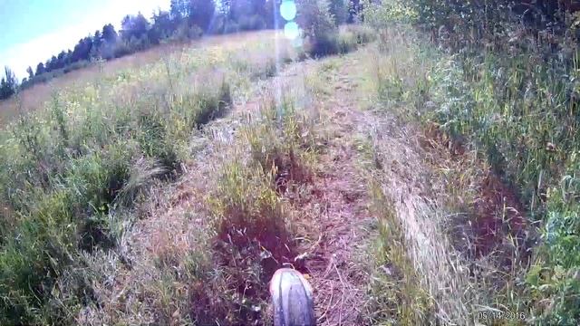 Покатушка на питбайке смотреть онлайн