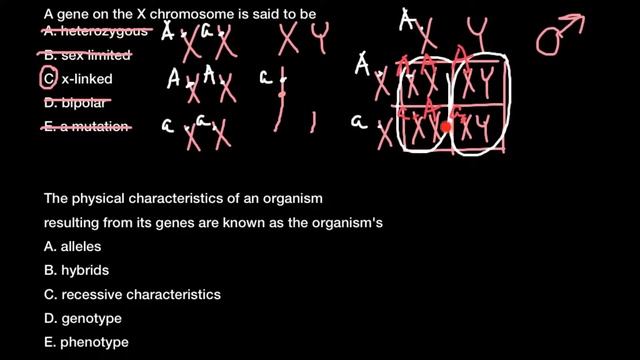 Alleles, Hybrids, Genotypes, Homozygosity, Heterozygosity Explained