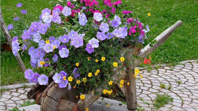 Тачка, возик з квітами  Ідеї для дому