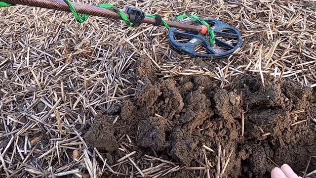 Metal detecting, Green waste смотреть онлайн