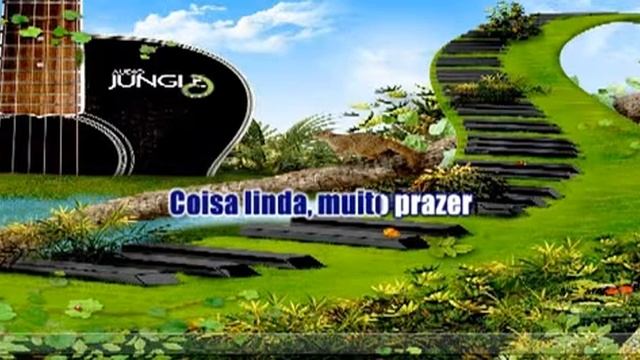 Alexandre Pires Eu sou o samba Karaoke смотреть онлайн